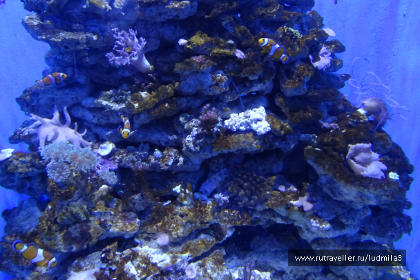 photo 1330029