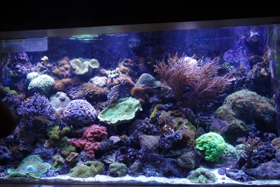photo 1330032