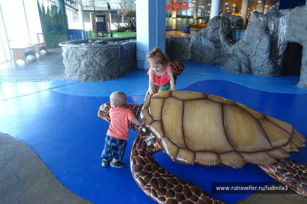photo 1332726
