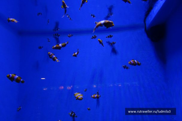photo 1332728