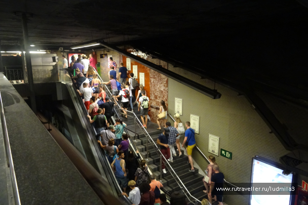 photo 1336154