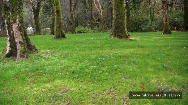 photo 45571
