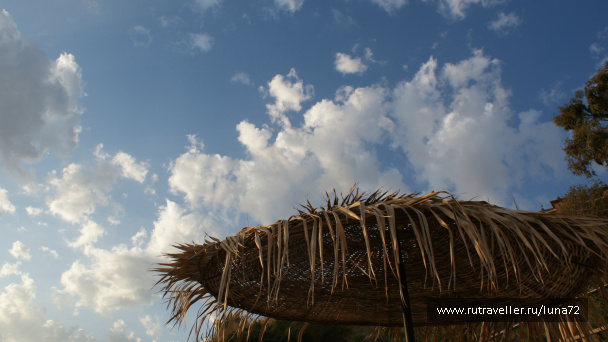 photo 76777