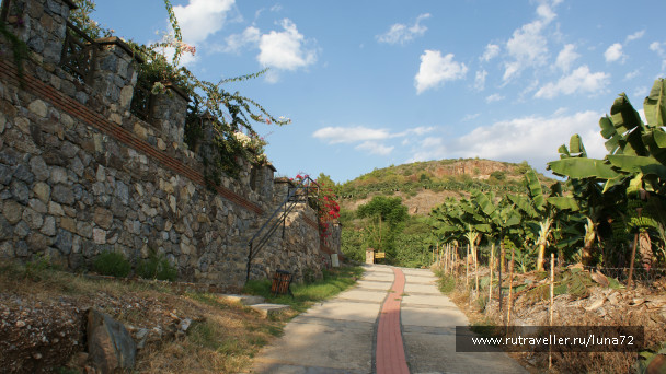 photo 76789
