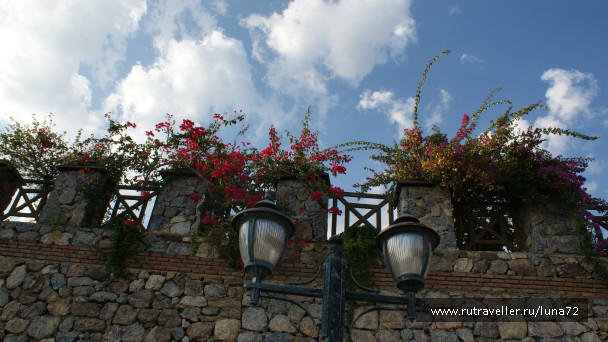 photo 76790