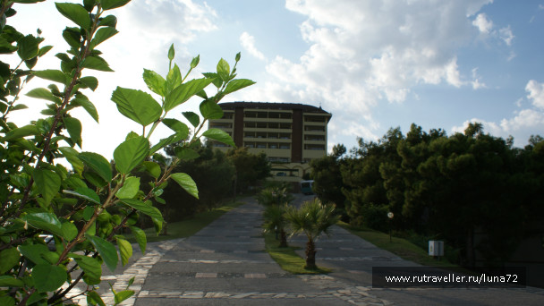 photo 76794