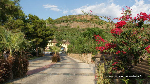 photo 76795
