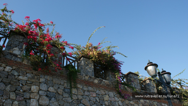 photo 76817