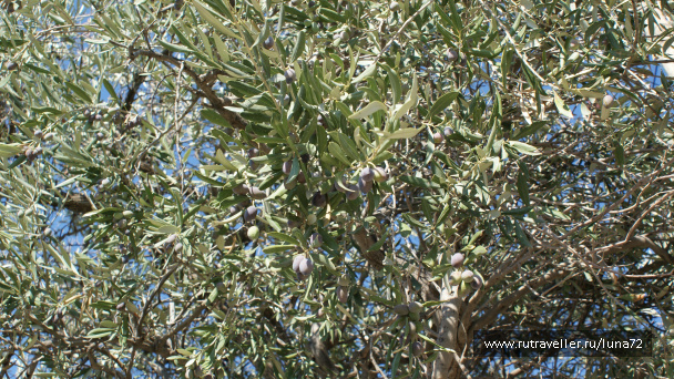 photo 76749