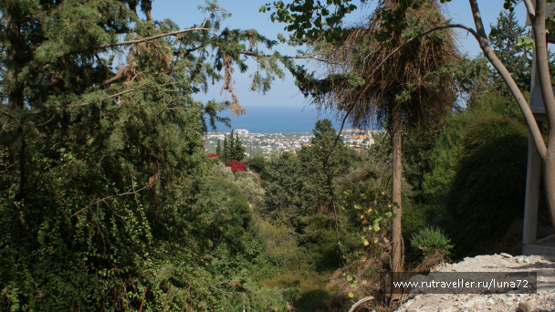 photo 76756