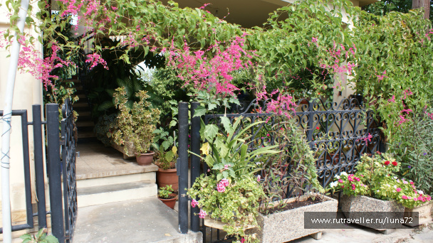 photo 76757