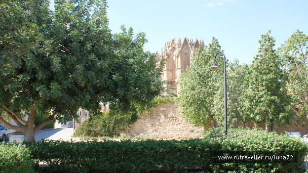 photo 76758