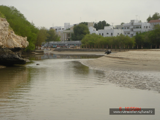 photo 76833
