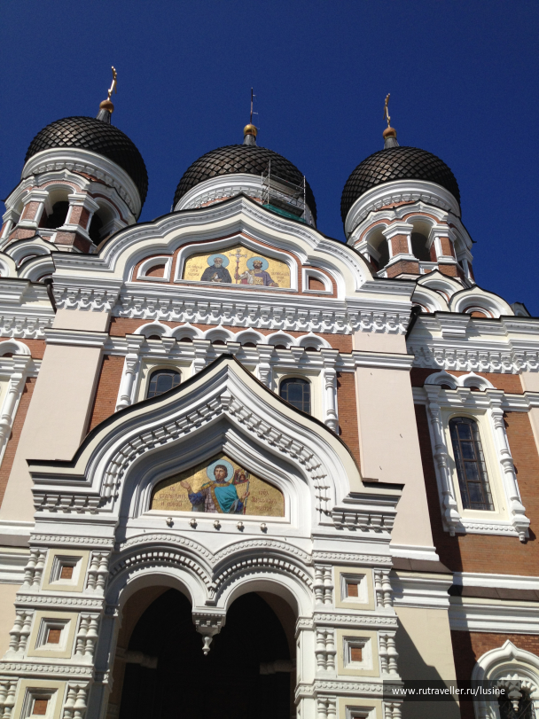 photo 1024454