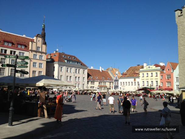 photo 1024455
