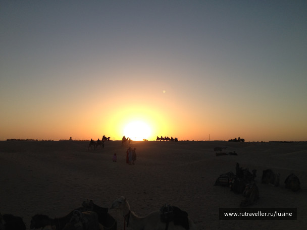 photo 1024443