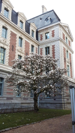 photo 1249237