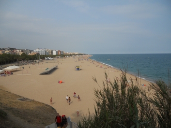 photo 493654