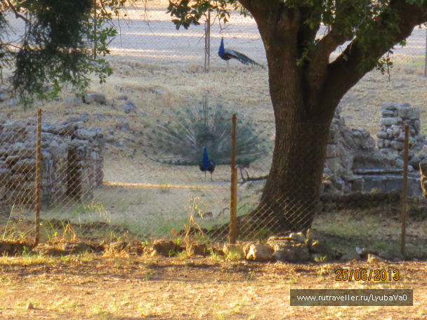 photo 429262