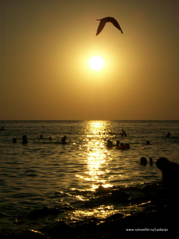 photo 443675