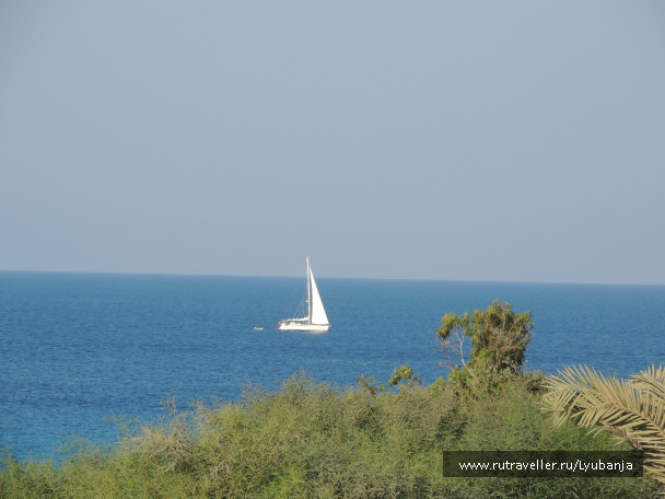 photo 496821