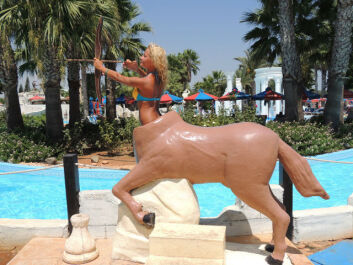 photo 496842