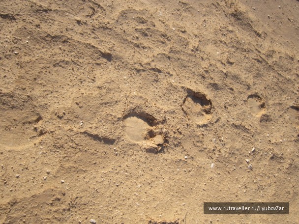 photo 73255