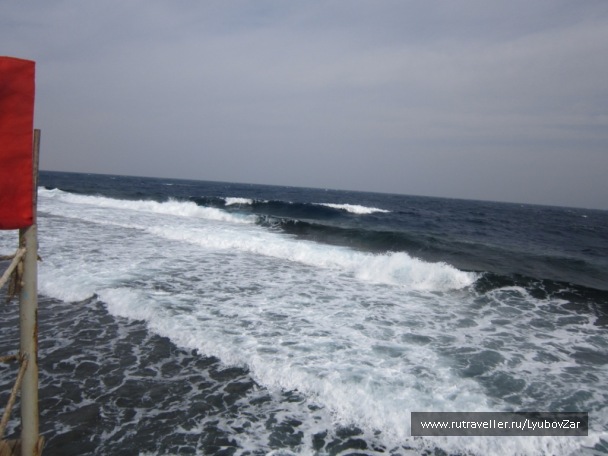 photo 73296