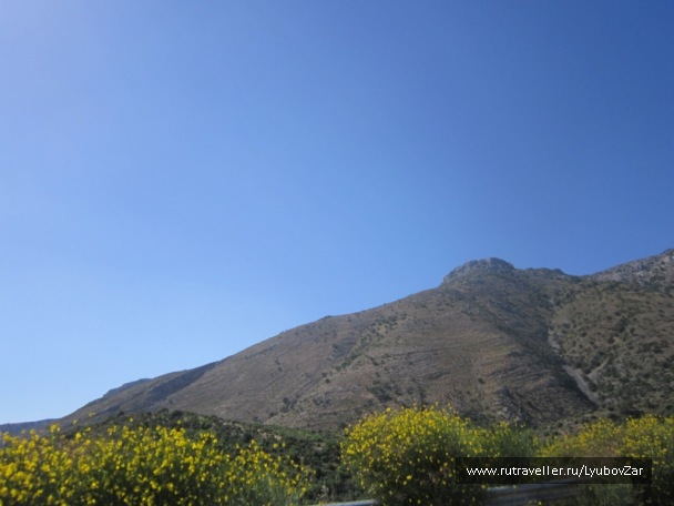 photo 97023