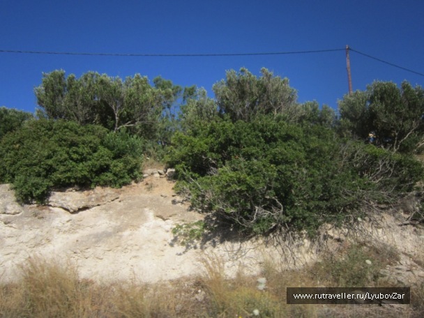 photo 97028
