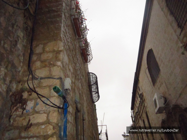 photo 226213