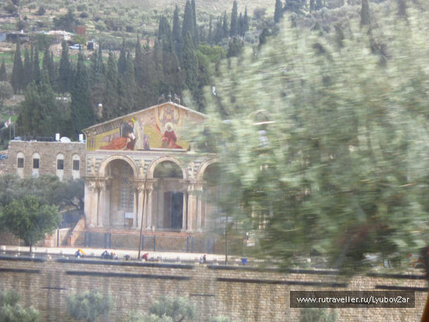 photo 226223