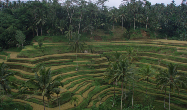P1010937
