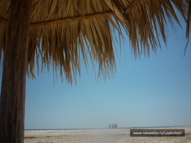 photo 140384