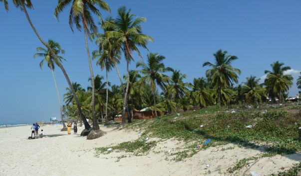 P1000788