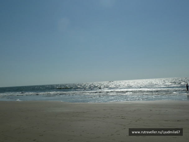 photo 140355