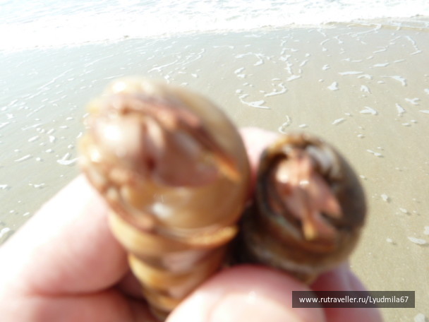 photo 140357