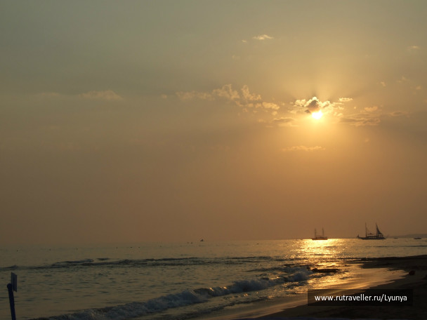 photo 254022