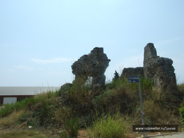 photo 265525