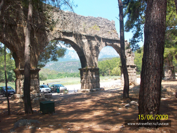 photo 97985