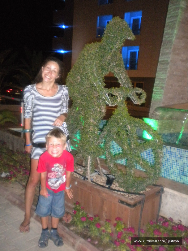 photo 93340