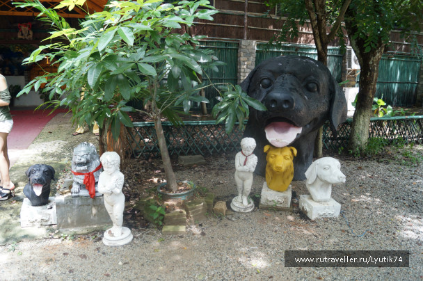 photo 541052