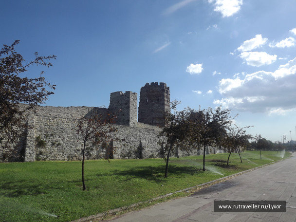 photo 1039845