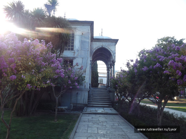 photo 1039847