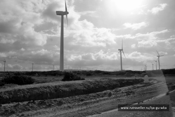 photo 145526