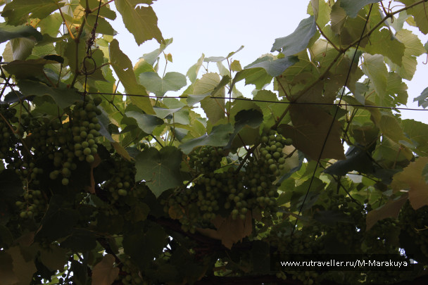 photo 1294314