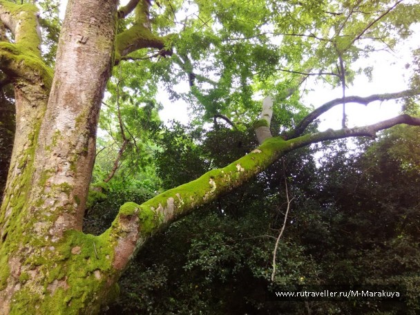 photo 1294567
