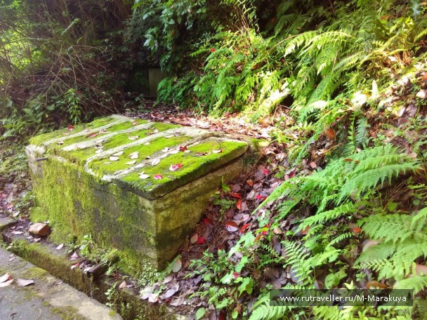 photo 1294568