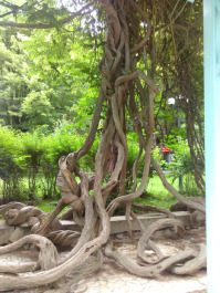 photo 1294571