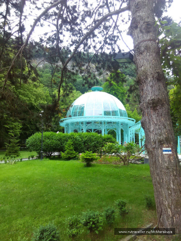 photo 1294572